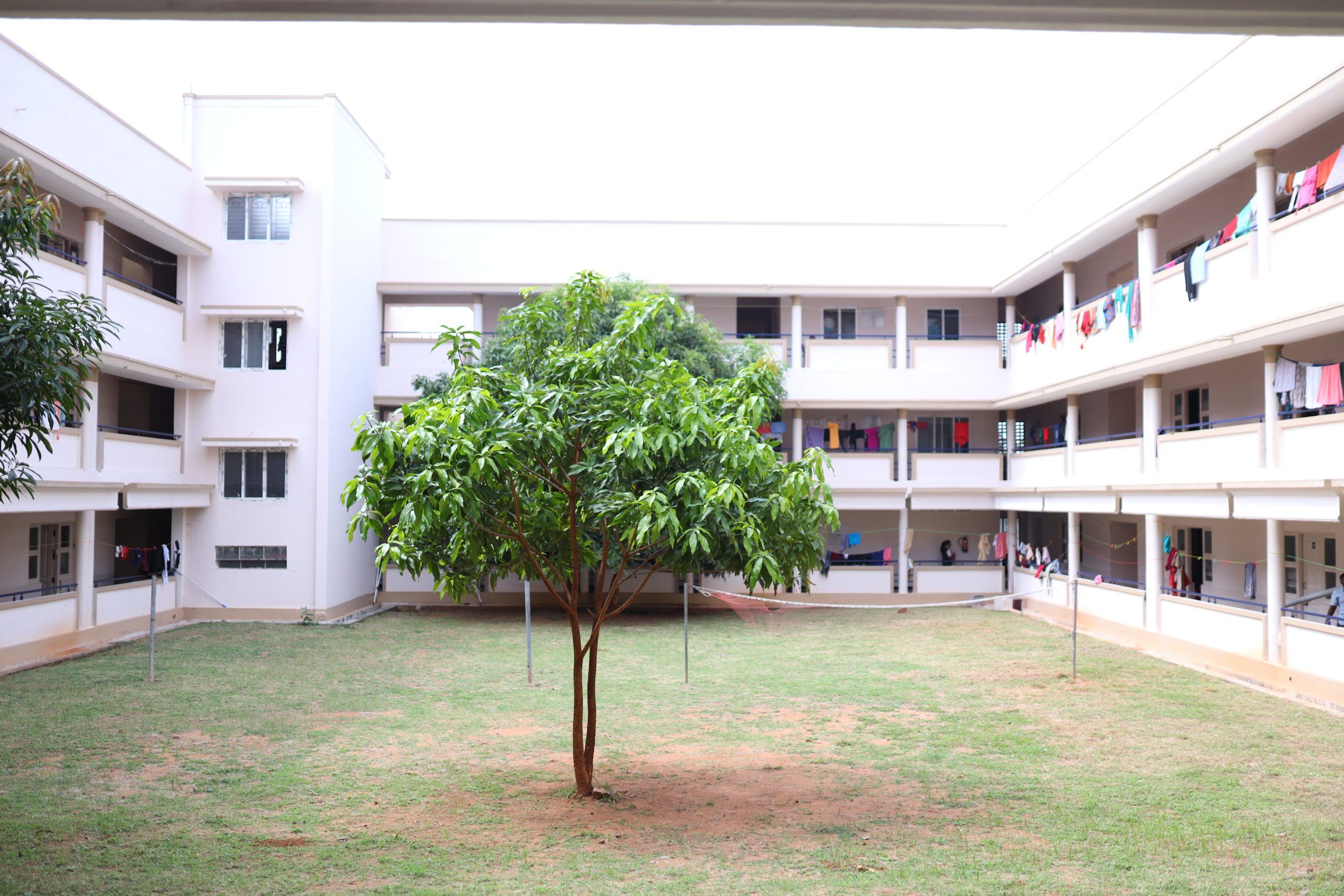 Campus Eagle View